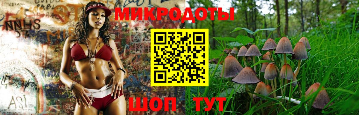 Псилоцибиновые грибы Psilocybine cubensis Россошь