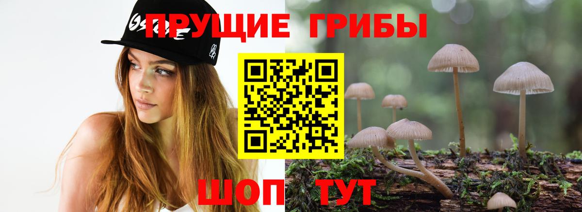 Россошь  Галлюциногенные грибы мицелий  Вход с VPN 